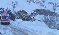 Batman'da kışa rağmen hayat kurtaran çalışma
