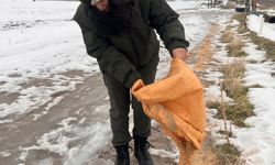 Batman'da orman ekiplerinden yaban hayatına kış desteği