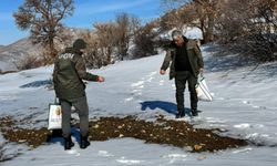 Batman'da yaban hayvanları için yem bırakıldı