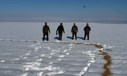 Batman'da yaban hayvanları için yem desteği