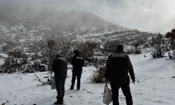 Batman'da yaban hayvanları için yemleme çalışması sürüyor