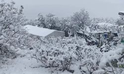 Batman'ın Kozluk ve Sason ilçelerinde eğitime kar tatili