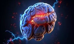 Beynin gizli bağlantıları ortaya çıkıyor