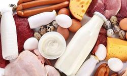 Bin 208 üründe tağşiş, 121 üründe sağlık riski tespit edildi