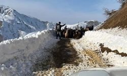 Bingöl Karlıova’da kar yağışı devam ediyor