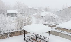 Bingöl Karlıova'da kar yağışı etkisini arttırıyor