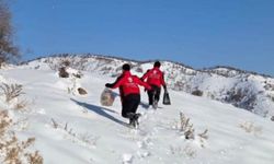 Bingöl Umut Kervanı yabani hayvanlar için doğaya yem bıraktı