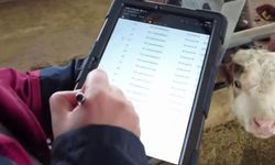 Bingöl’de hayvancılıkta dijital dönüşüm: Aşılama ve küpeleme artık tabletle yapılacak