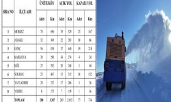 Bingöl’de kapalı köy yollarını açma çalışmaları sürüyor