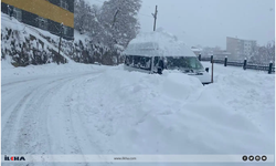 Bitlis 18 köy yolunun ulaşıma açılması için çalışmalar sürüyor