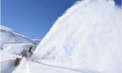 Bitlis’te hayat durdu, 335 yerleşim yeri ulaşıma kapandı.