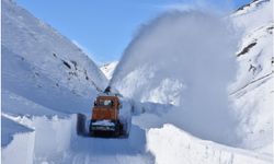 Bitlis’te kırsal kesimlerde hayat durdu: 229 köye ulaşım kesildi