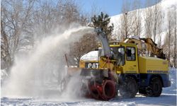 ​Bitlis’te köy yollarının açılması için çalışmalar sürüyor