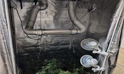 Bursa'da uyuşturucu düzeneği ele geçirildi: 1 gözaltı