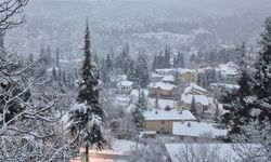 Çamlıyayla'da yoğun kar yağışı etkili oldu
