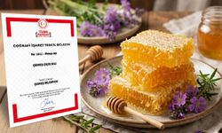 Çerkeş Çiçek Balı coğrafi işaret tescili aldı