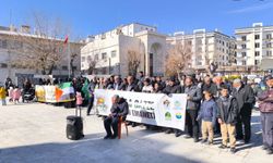 Dağ: Mescid-i Aksa ümmetin ortak sorumluluğudur