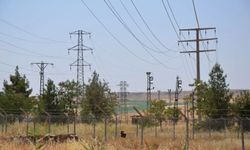 Dicle Elektrik’ten çevreye katkı: Binlerce ağaç kurtarıldı