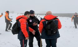 Diyarbakır'da 410 kişilik ekip, kayıp Nimet Kılıç’ı arıyor