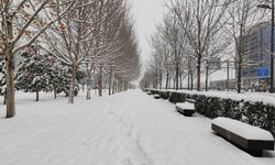 Diyarbakır'da kar yağışı kenti beyaza bürüdü