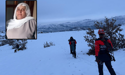 Diyarbakır'da kaybolan kadını arama çalışmaları 3'üncü gününde