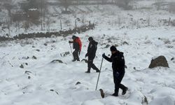 Diyarbakır'da kaybolan kadını arama çalışmaları 4'üncü gününde de devam ediyor