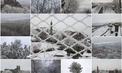 Diyarbakır’da soğuk havanın oluşturduğu kırağı geriye kartpostallık kareler bıraktı