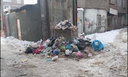 Diyarbakır'da toplanmayan çöpler sokaklara yayıldı