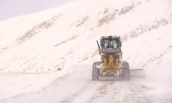Doğu Anadolu'da yüzlerce yerleşim yolu kapandı