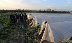 Don felaketi Tarsus’ta çiftçiyi vurdu: Yüzde 100 zarar var