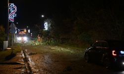 Fırtına Fransa'da 380 bin haneyi elektriksiz bıraktı