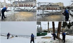 Gaziantep'te sokak hayvanları ve kuşlar için sokak aralarına yem bırakıldı