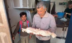 Gazze'de soğuk can almaya devam ediyor: Bir haftalık bebek şehit oldu