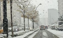 Hakkâri için kuvvetli ve yoğun kar yağışı uyarısı