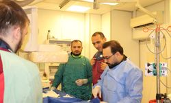 Harran Üniversitesi Hastanesi’nden bölgede bir ilk: Aort anevrizmasına tam kapalı girişim