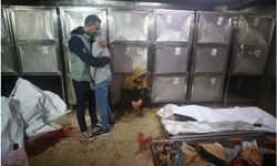 İşgal rejimi 90 günde bin 193 kez ihlal yaptı, 484 şehit