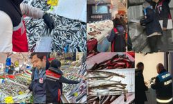 İstanbul’da mevzuata aykırı avlanan 3,5 ton su ürününe el konuldu