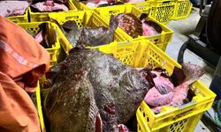 İstanbul'da yasak avlanan tekneye ceza