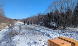 Japonya'da tren ile kamyon çarpıştı