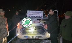 Kaçak avcılara ceza: 4 kişiye 75 bin TL’yi aşan para cezası
