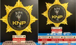 Kahramanmaraş’ta 2 bin 958 sentetik hap ele geçirildi: 2 tutuklama