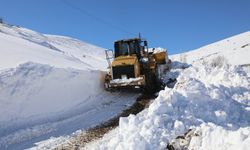 Kar kalınlığının 2 metreyi bulan yollar ulaşıma açıldı