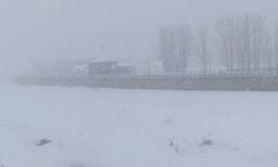 Kar yağışı nedeni ile Doğu'da 5 ilde 1865 yerleşim yerine ulaşım sağlanamıyor