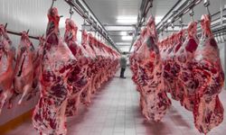 Kesimhanelerde standart dışı hayvan kesimi yasaklandı