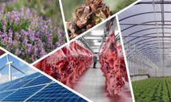 Kırsal kalkınma desteklerinde yeni dönemde hibeler artırıldı