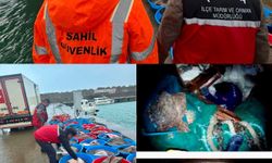 Kocaeli ve İstanbul’da 8 ton 750 kilogram kalkan balığına el konuldu