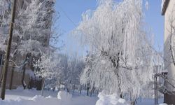 Konya için soğuk hava uyarısı: Buzlanma ve don bekleniyor