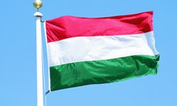 Macaristan, nisanda sandığa gidecek