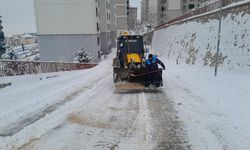 Malatya'da kar yağışı 2 gündür devam ediyor, ekipler gece gündüz çalışıyor