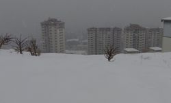 Malatya'da kar yağışı bir aydır aralıklarla devam ediyor